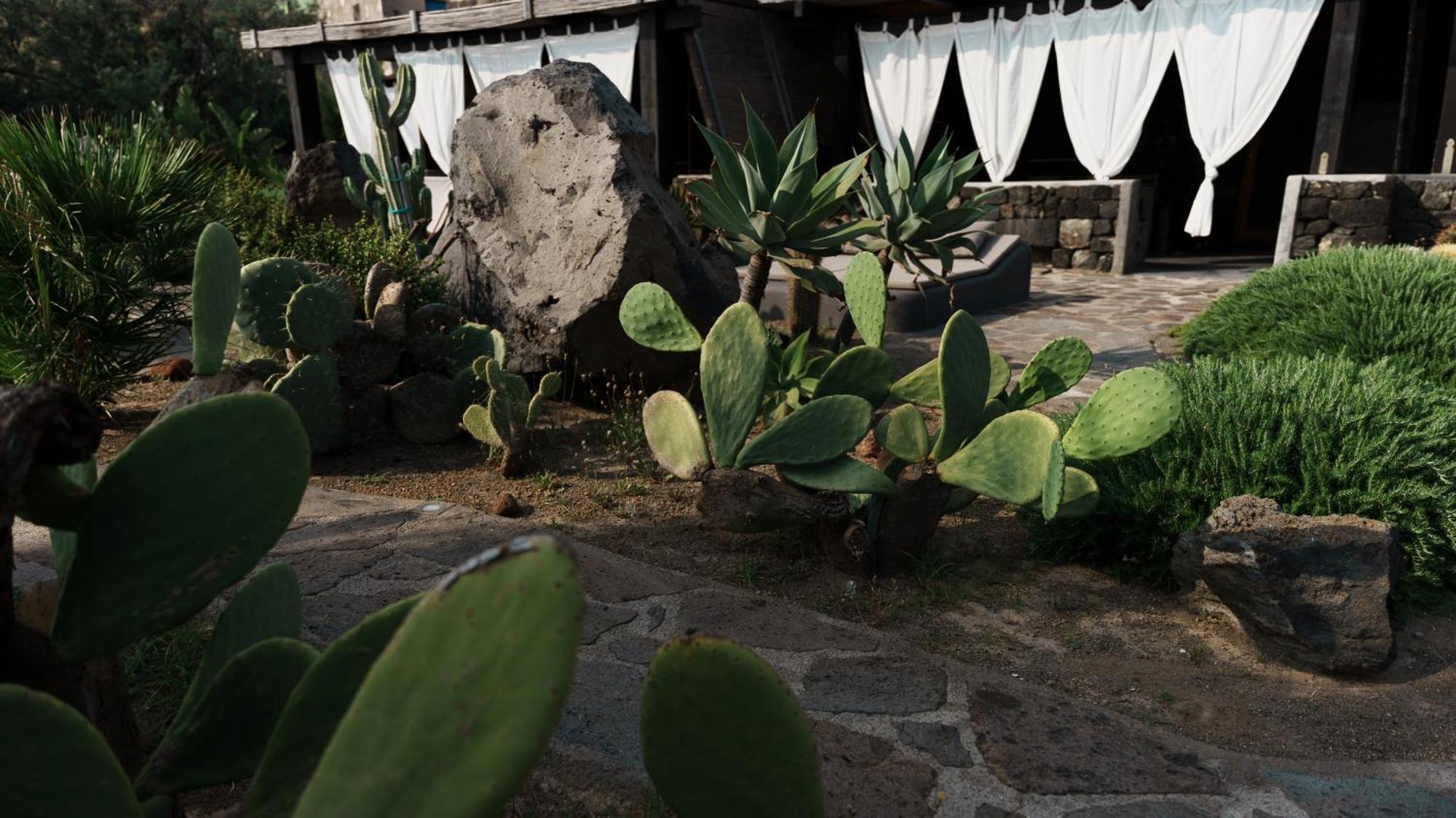 Calypso Pantelleria *